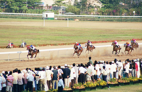 Hình ảnh đua ngựa tại một đấu trường lớn