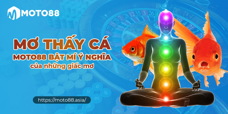 Mo Thay Ca – Moto88 Bat Mi Y Nghia Cua Nhung Giac Mo