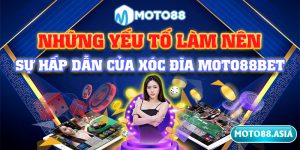 12.Nhung Yeu To Lam Nen Su Hap Dan Cua Xoc Dia Moto88bet