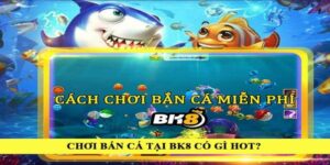 Tìm hiểu về cổng game bắn cá BK8 